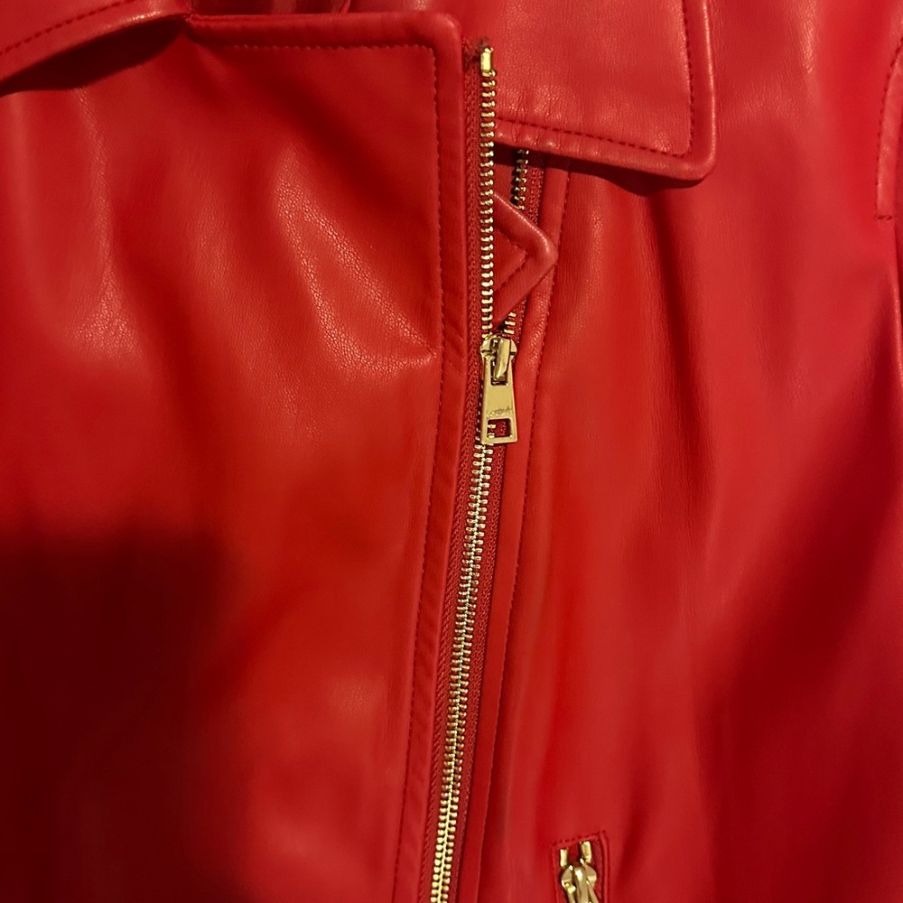 Jacket - Picture 5 of 7